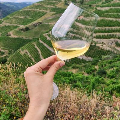 Rendez-Wine - Vallée du Rhône nord