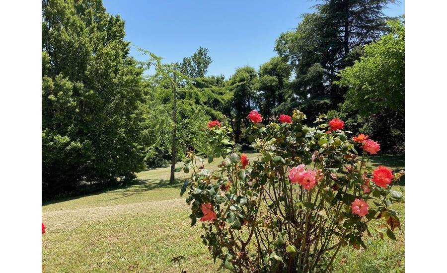 Jardin