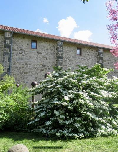 Journées européennes du patrimoine : Ce que le jardin nous confie (Visite guidée au Jardin de la Terre Pimprenelle)