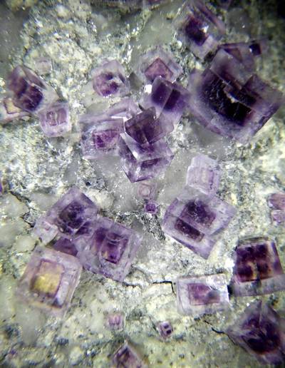 46ème Bourse Exposition Minéraux & Fossiles