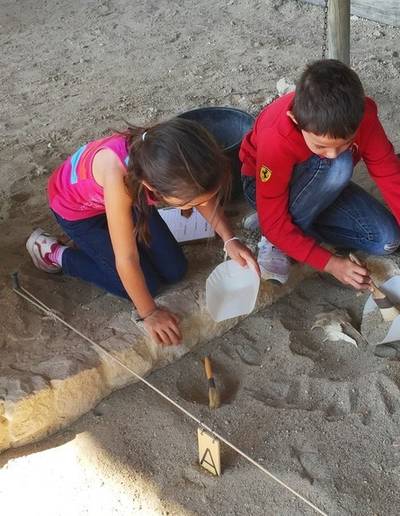 Atelier d'initiation à la fouille gallo-romaine