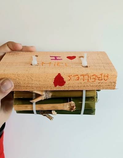 Les Secrets de la Ferme - Création d'un nichoir à abeilles solitaires