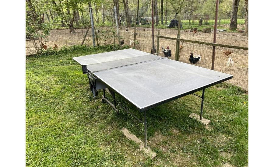 Table de ping pong dans le jardin commun