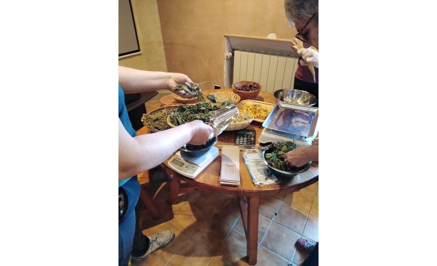 La Magie des Plantes_Tournon-sur-Rhône