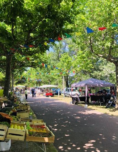 Les soirées du Bord du Rhône