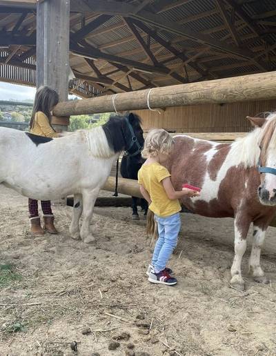 Les Rendez-vous Sport & Nature : stage petit palefrenier et balade à poney