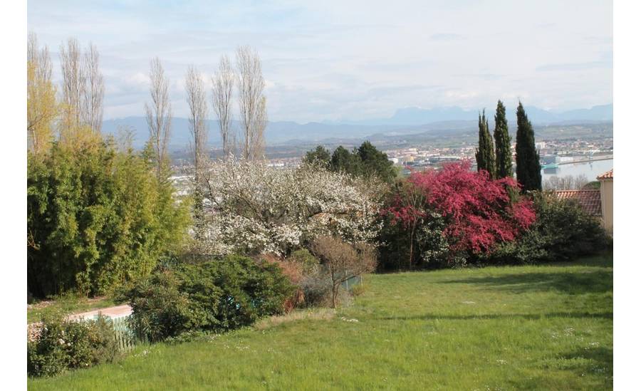 vue sur l'environnement de la propriété