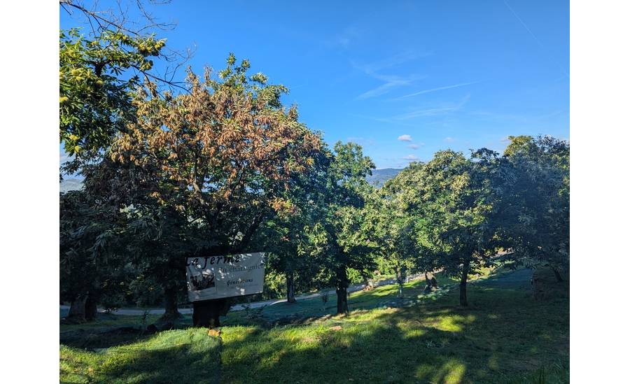 LA FERME DU CHÂTAIGNIER
